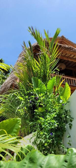Nest Uluwatu - Eco Boutique Villa エクステリア 写真