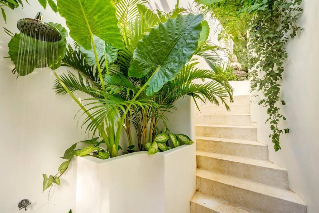 Nest Uluwatu - Eco Boutique Villa エクステリア 写真